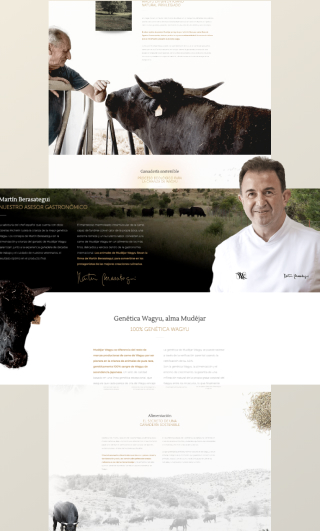 Diseño Web UX UI